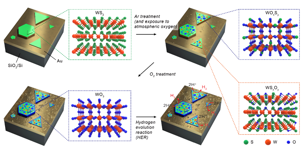 Hongik University - KIST Research Team Achieves Next-Generation Catalyst Development Using Tungsten Disulfide (WS2) as a